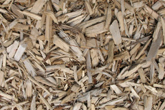 biomass boilers Calvine