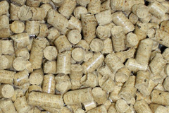 Calvine biomass boiler costs