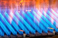 Calvine gas fired boilers